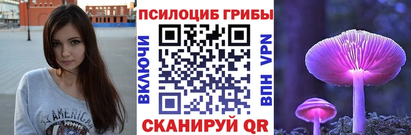 купить закладку  Заринск  Галлюциногенные грибы MAGIC MUSHROOMS 